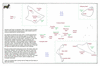 lut37  carolines west a italik_thumb.gif